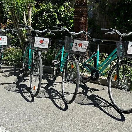 Delle Rose San Bartolomeo Al Mare