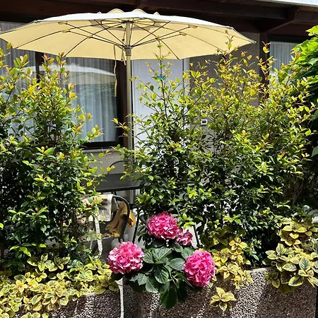 Delle Rose 3*