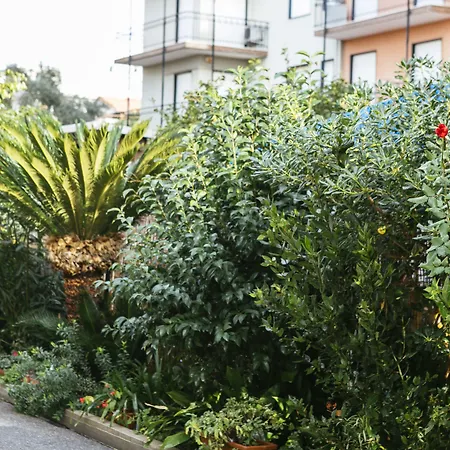 Delle Rose Hotel San Bartolomeo Al Mare