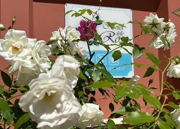 Delle Rose فندق سان بارتولومِيو آل ما