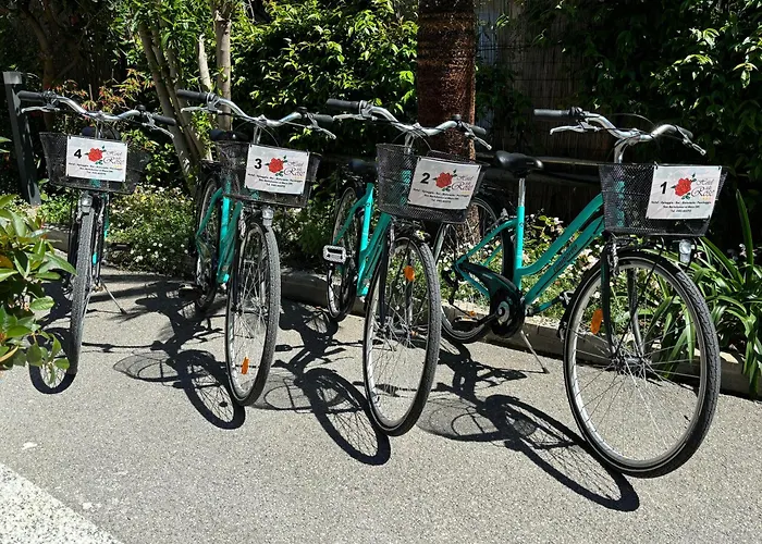 Delle Rose סן ברתולומיאו אל מארה