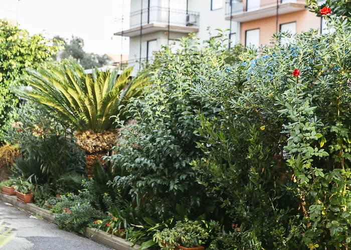 Delle Rose מלון סן ברתולומיאו אל מארה